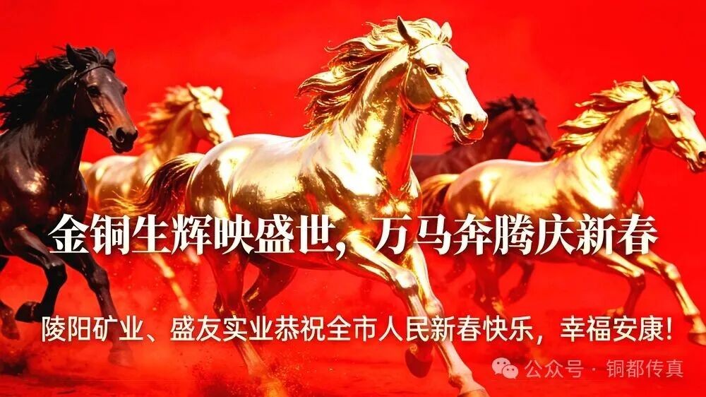 陵阳矿业︱深植根基启新程 同心致远向未来——陵阳矿业盛友实业致全体员工新年贺词